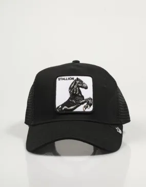  gorra GOORIN BROS The Stallion 101-0393 Ingoiv en Preto 78770