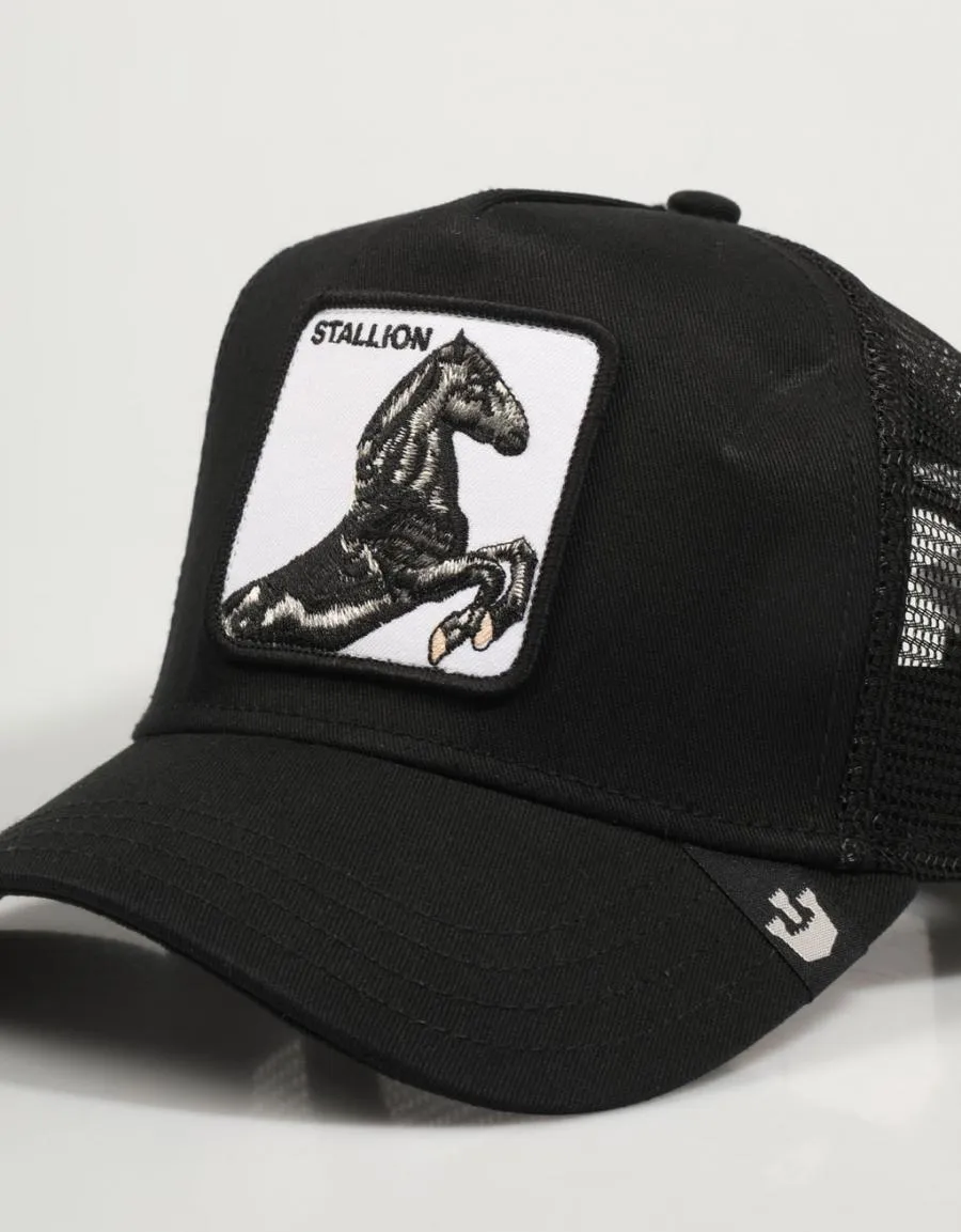  gorra GOORIN BROS The Stallion 101-0393 Ingoiv en Preto 78770